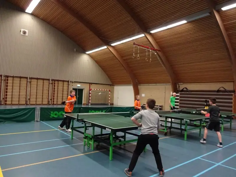 Afbeelding 2 bij jeugduitwisseling met TTV Budilia 2016