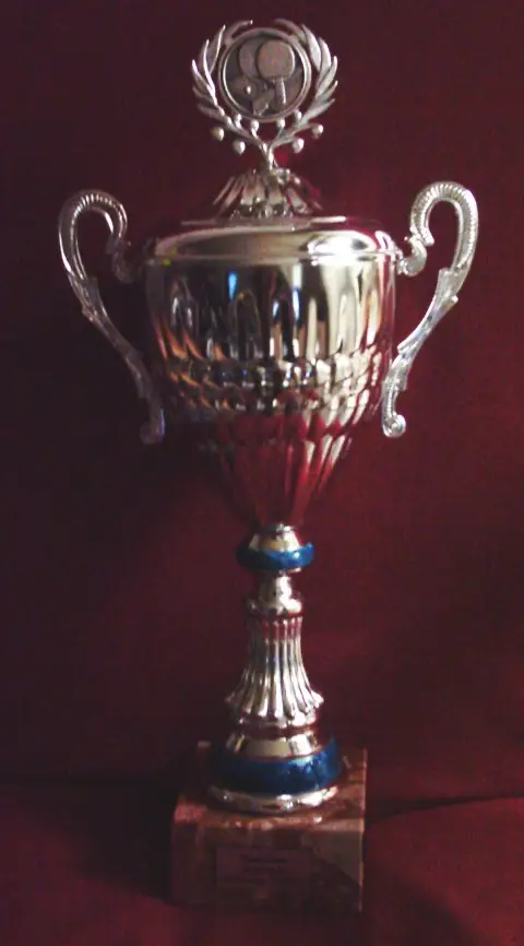 Afbeelding 1 bij Scholentoernooi 2007