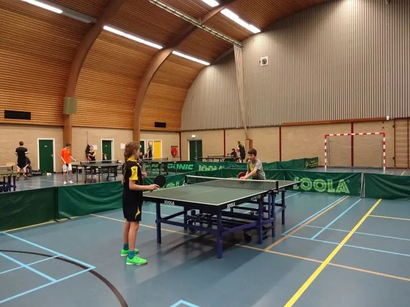 Afbeelding 3 bij jeugduitwisseling met TTV Budilia 2016