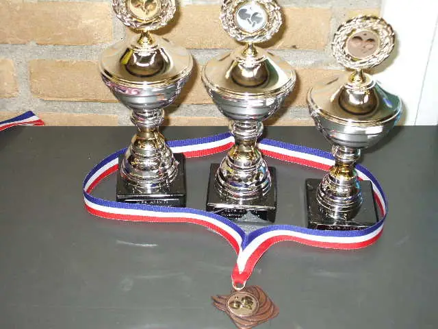Afbeelding 8 bij Clubkampioenschappen Jeugd 2007